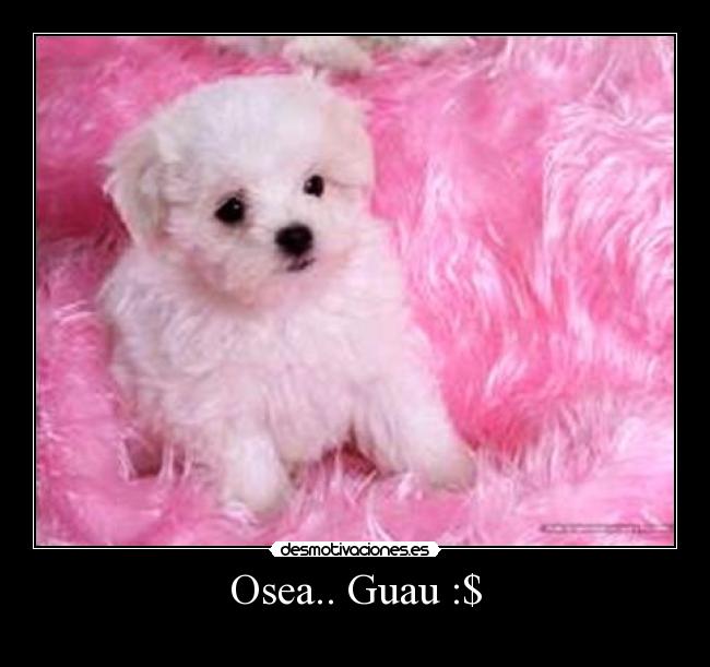 Osea.. Guau :$ -