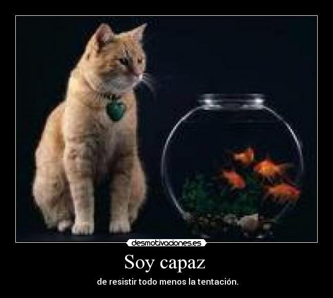 Soy capaz -