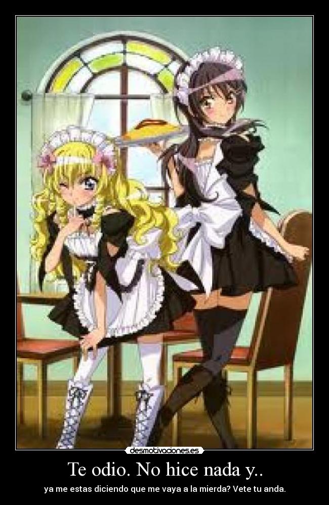 carteles odio teodioasquerosoninatodevladis desmotivaciones