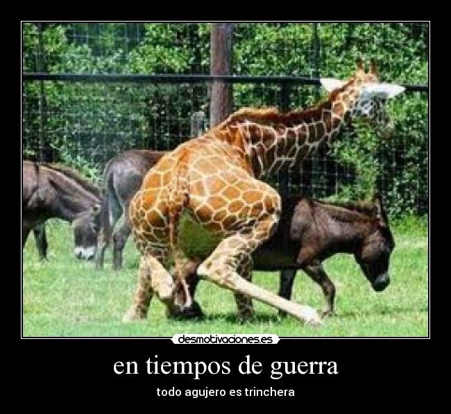 en tiempos de guerra - todo agujero es trinchera