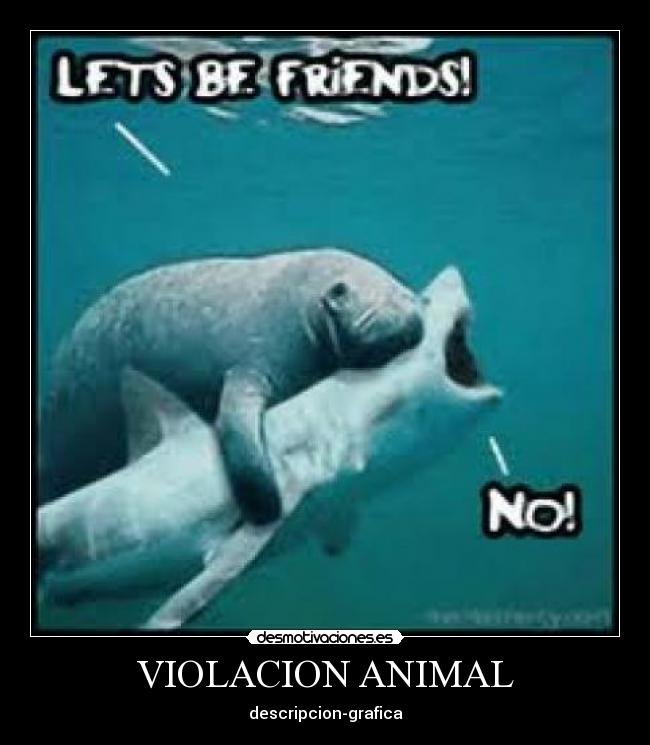 VIOLACION ANIMAL - descripcion-grafica