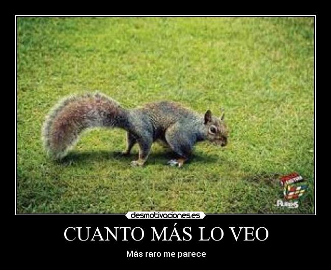 CUANTO MÁS LO VEO - 