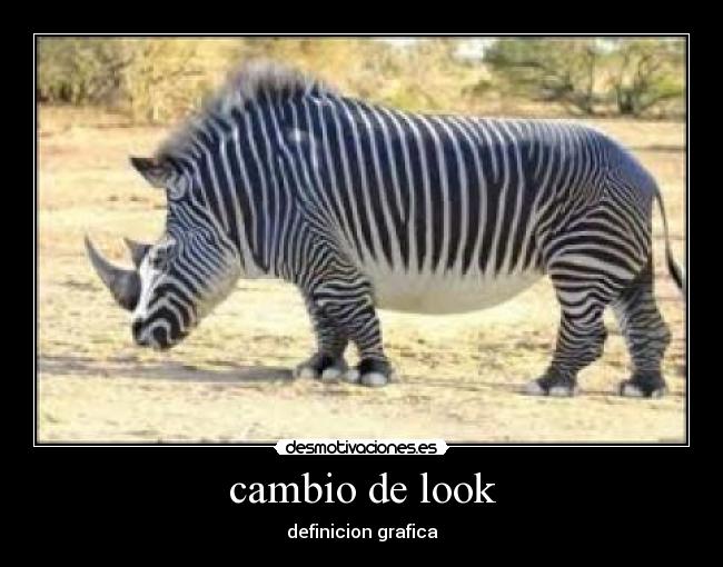 cambio de look - 