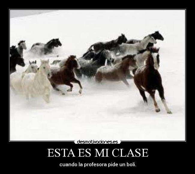 ESTA ES MI CLASE - 