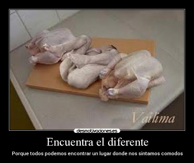 Encuentra el diferente - Porque todos podemos encontrar un lugar donde nos sintamos comodos