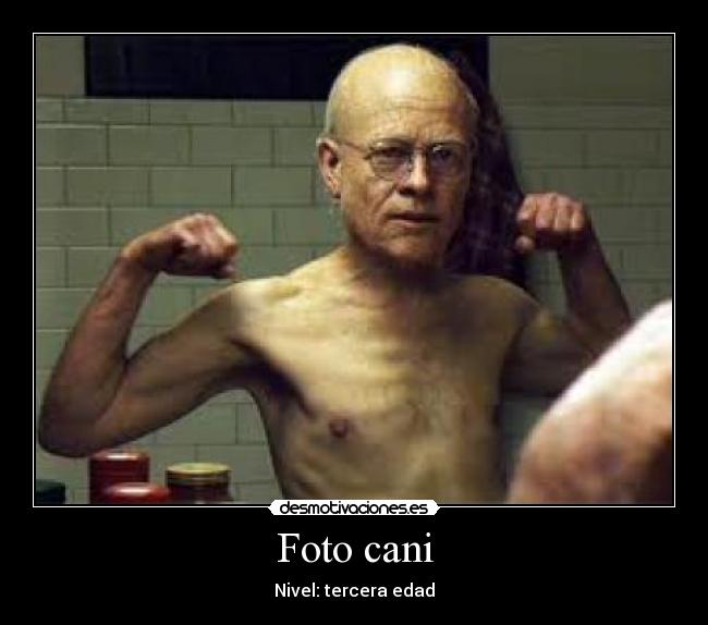 Foto cani - Nivel: tercera edad