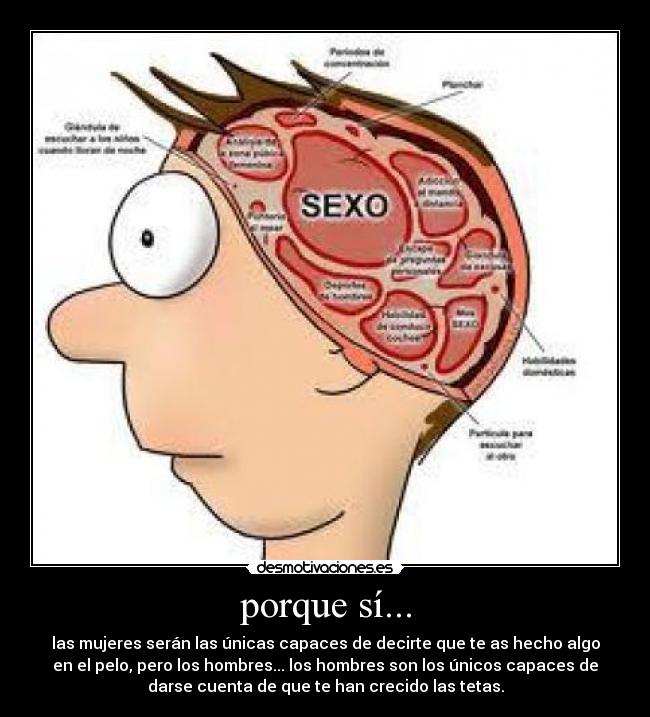 porque sí... - las mujeres serán las únicas capaces de decirte que te as hecho algo
en el pelo, pero los hombres... los hombres son los únicos capaces de
darse cuenta de que te han crecido las tetas.