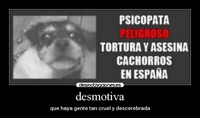 carteles asesino desmotivaciones