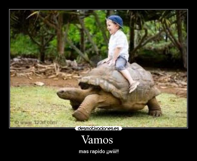Vamos - mas rapido ¡¡wiii!!