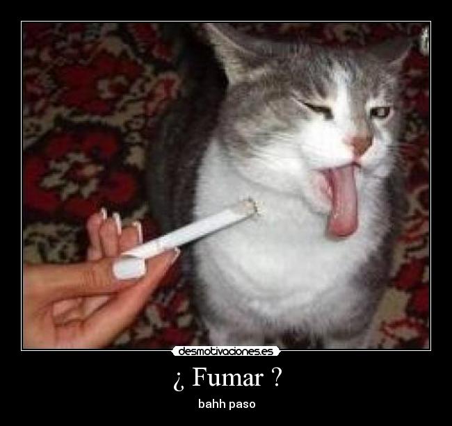 ¿ Fumar ? - 