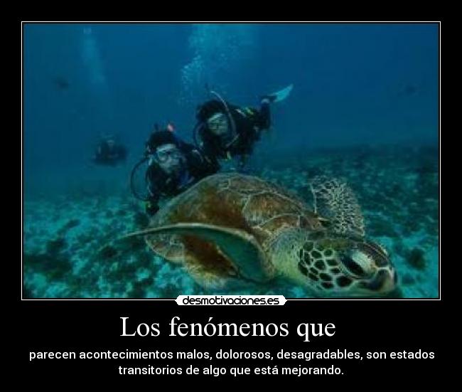 carteles seentimientos desmotivaciones