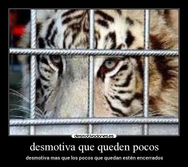 desmotiva que queden pocos -