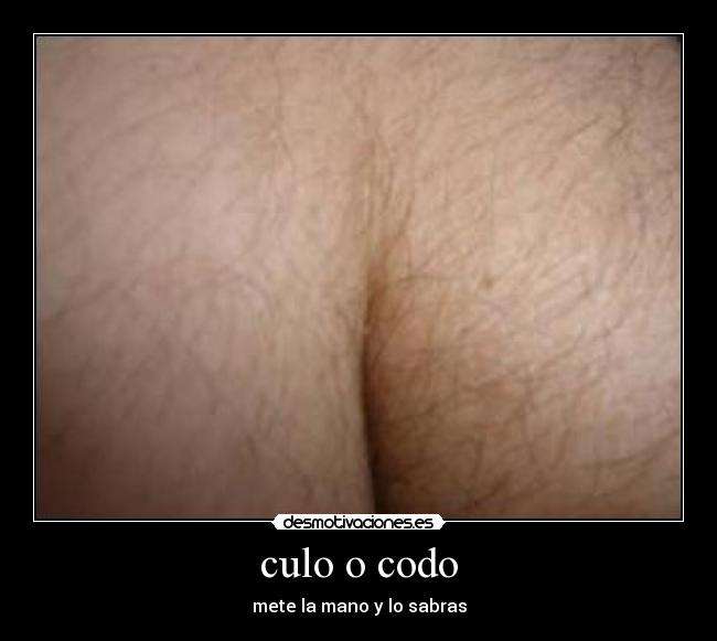 culo o codo -