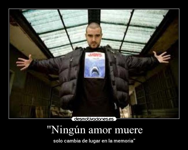 Ningún amor muere - 
