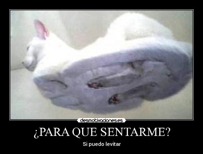 ¿PARA QUE SENTARME? - Si puedo levitar