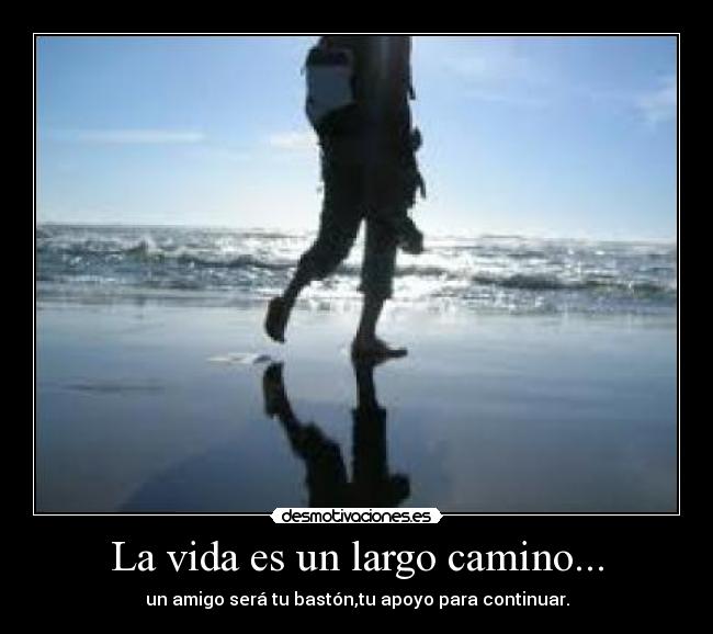 carteles vida caminobaston desmotivaciones