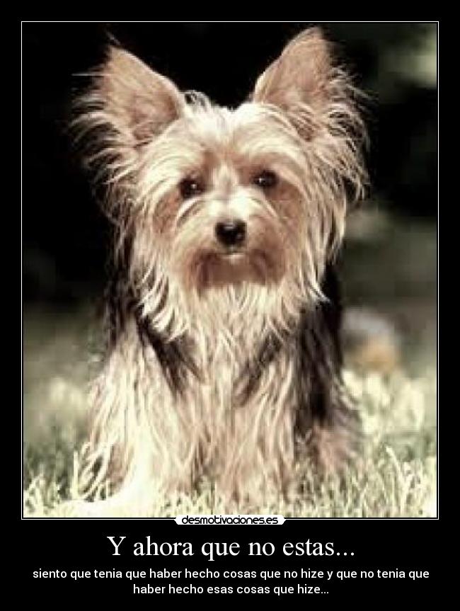 Y ahora que no estas... -