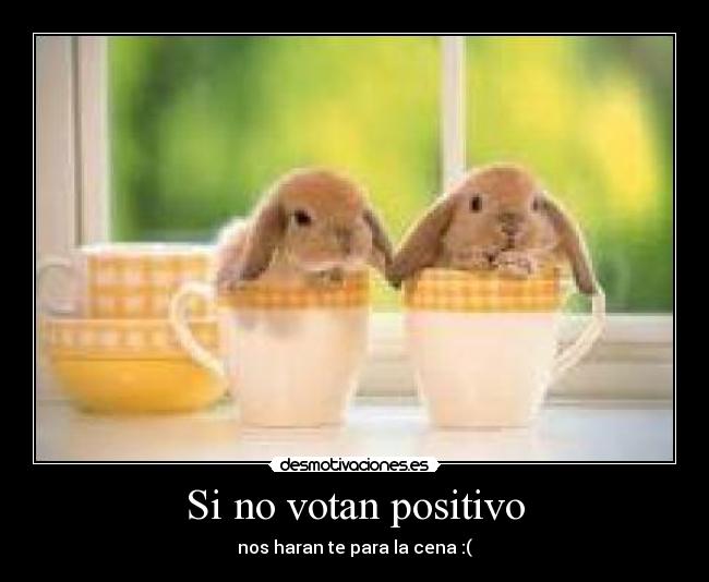 Si no votan positivo - nos haran te para la cena :(
