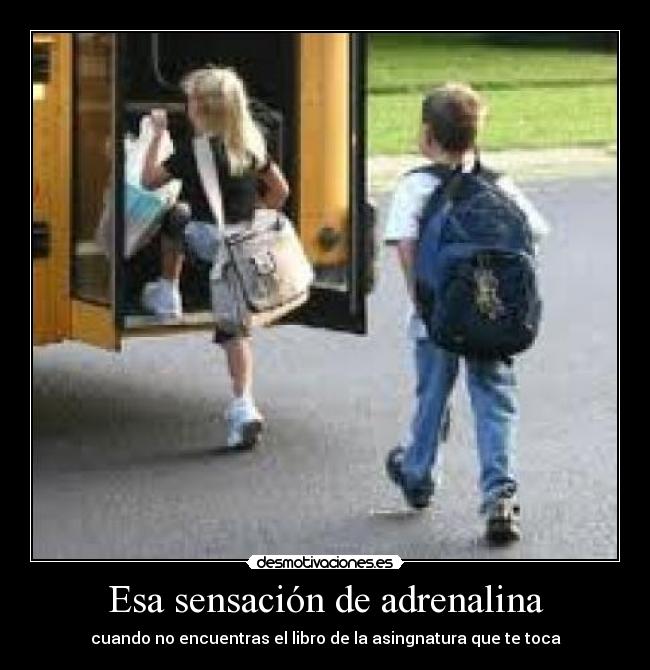 Esa sensación de adrenalina - cuando no encuentras el libro de la asingnatura que te toca
