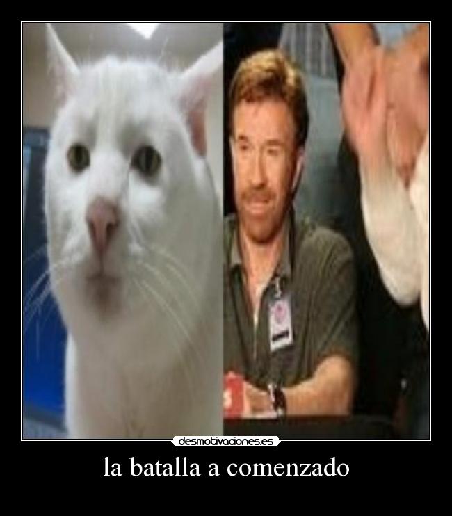 la batalla a comenzado -