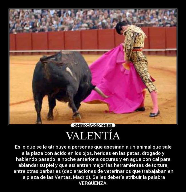 VALENTÍA - Es lo que se le atribuye a personas que asesinan a un animal que sale
a la plaza con ácido en los ojos, heridas en las patas, drogado y
habiendo pasado la noche anterior a oscuras y en agua con cal para
ablandar su piel y que así entren mejor las herramientas de tortura,
entre otras barbaries (declaraciones de veterinarios que trabajaban en
la plaza de las Ventas, Madrid). Se les debería atribuir la palabra
VERGÜENZA.