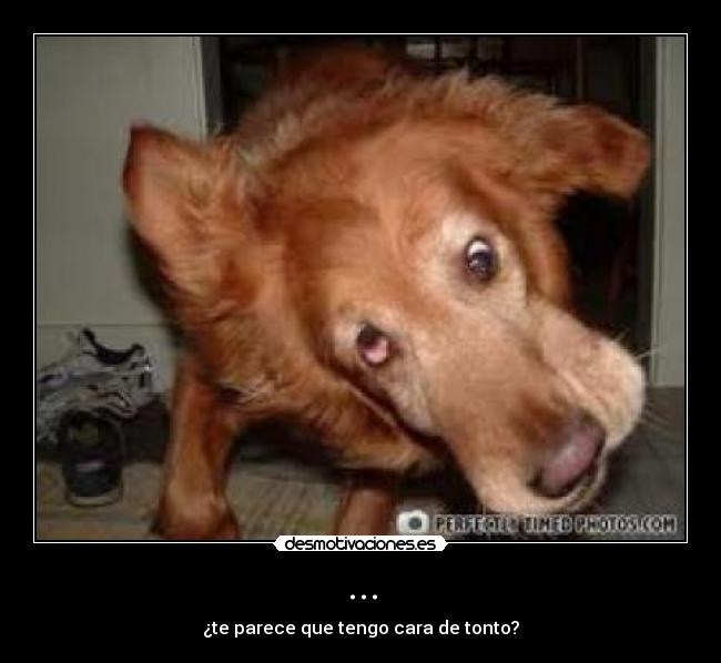 carteles miguelin8 desmotivaciones