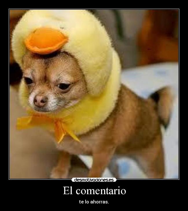 El comentario -