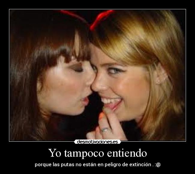 Yo tampoco entiendo -