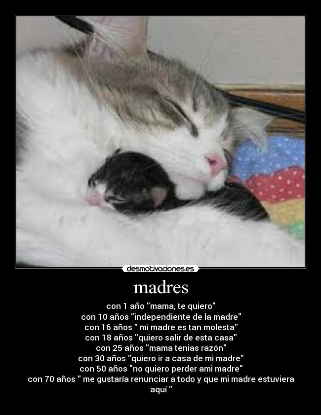 madres - 