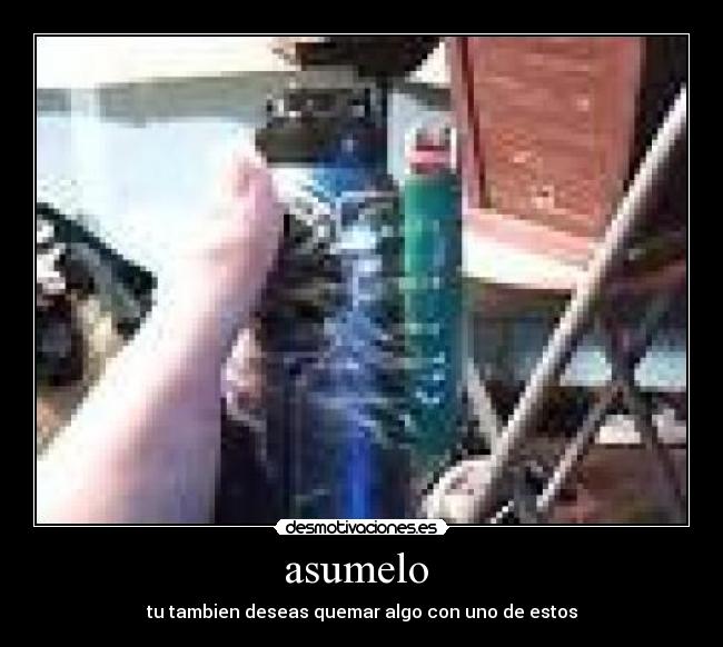 asumelo -