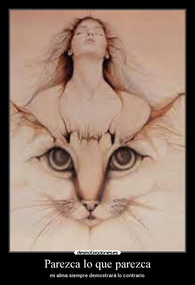 Parezca lo que parezca -