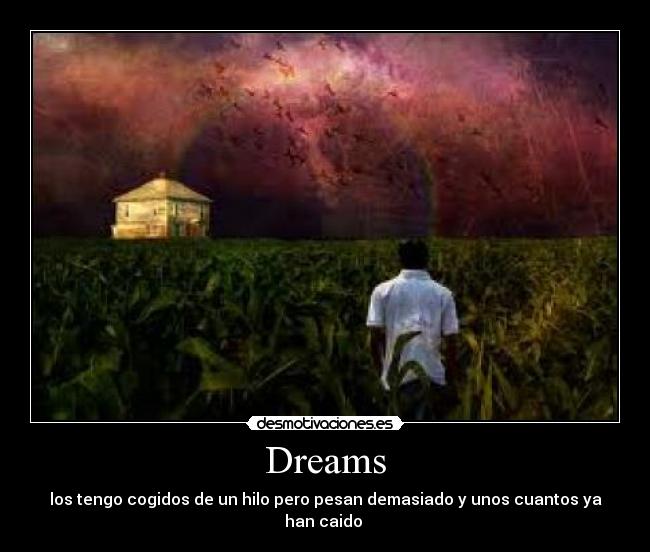 Dreams - 