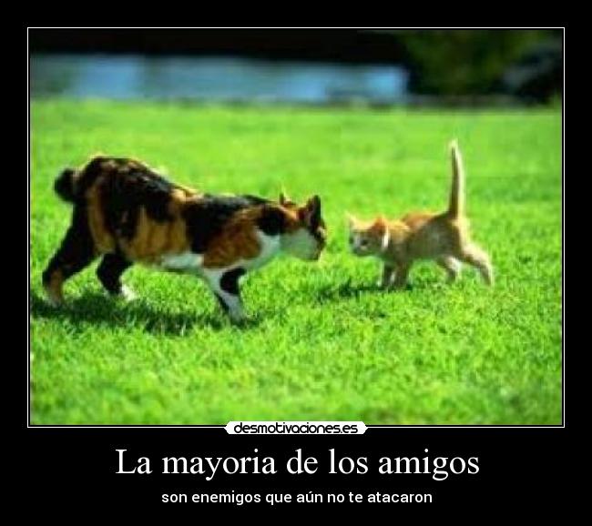 La mayoria de los amigos -