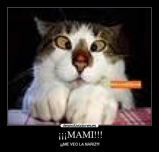 ¡¡¡MAMI!!! - 