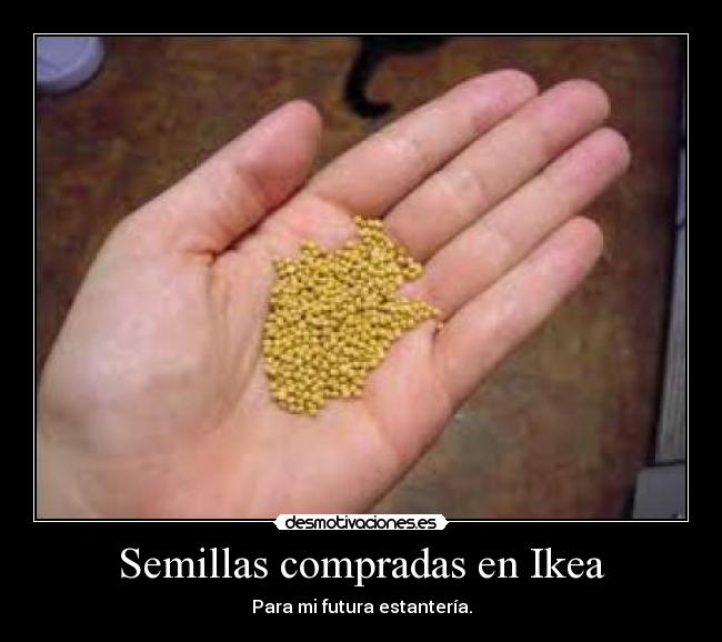 Semillas compradas en Ikea - Para mi futura estantería.