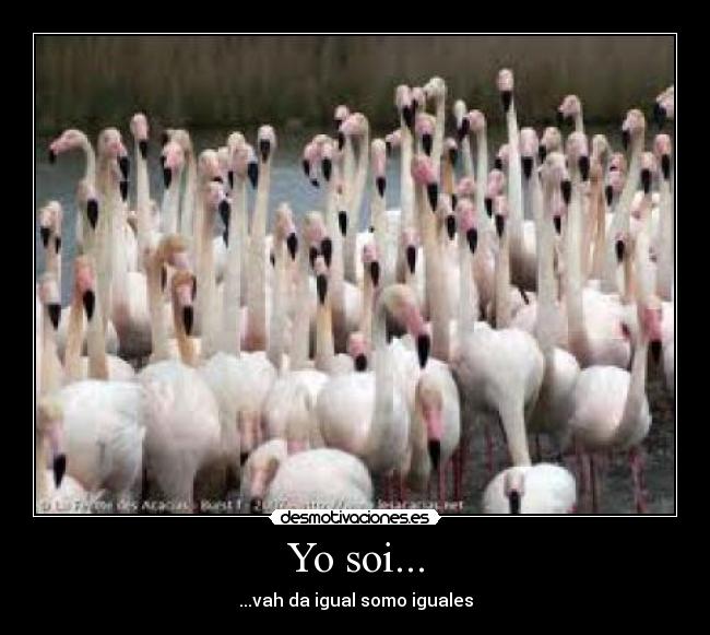 Yo soi... - ...vah da igual somo iguales