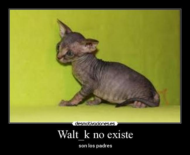 Walt_k no existe - 