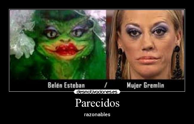 Parecidos - razonables