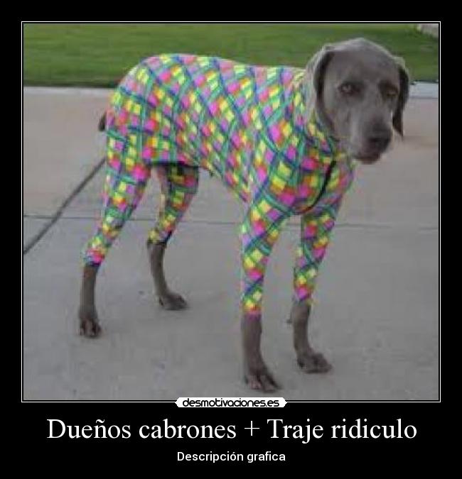 Dueños cabrones + Traje ridiculo -