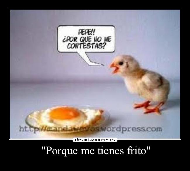 Porque me tienes frito -