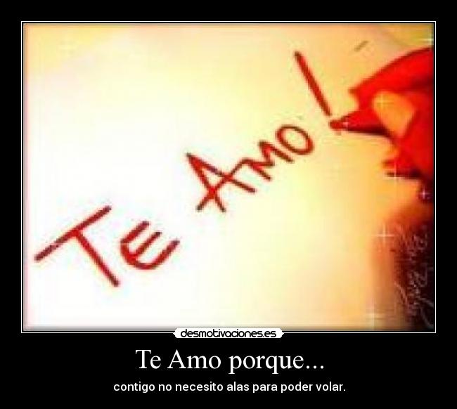 Te Amo porque... - 