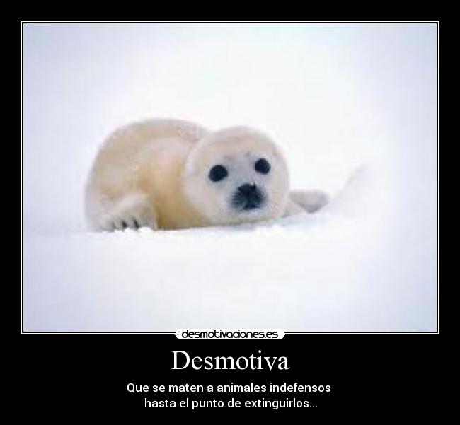 Desmotiva - Que se maten a animales indefensos 
hasta el punto de extinguirlos...