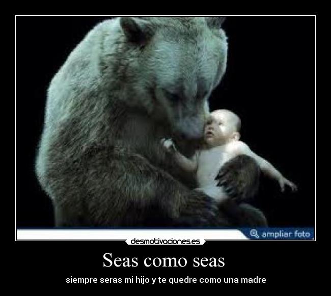 carteles belmonte desmotivaciones