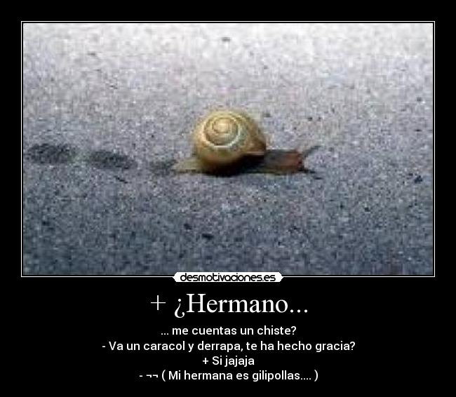 + ¿Hermano... - ... me cuentas un chiste?
- Va un caracol y derrapa, te ha hecho gracia?
+ Si jajaja
- ¬¬ ( Mi hermana es gilipollas.... )