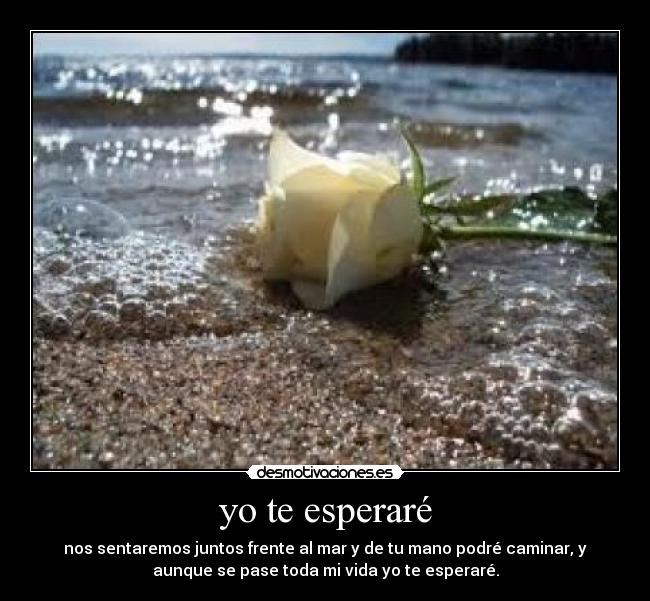 yo te esperaré - nos sentaremos juntos frente al mar y de tu mano podré caminar, y
aunque se pase toda mi vida yo te esperaré.