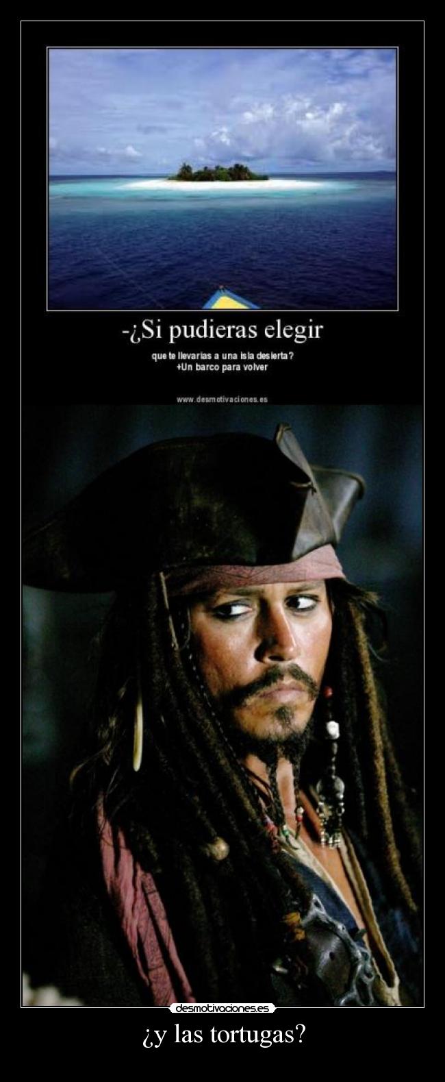 ¿y las tortugas? -