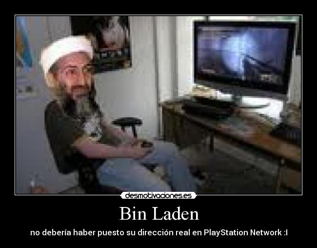 Bin Laden -