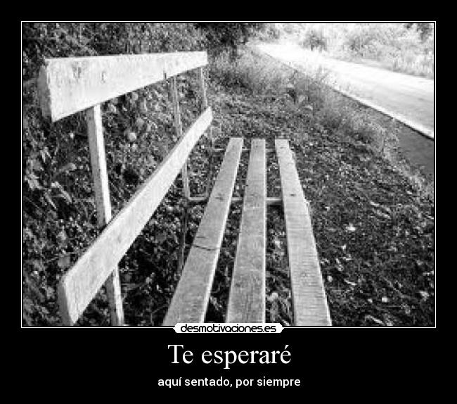 Te esperaré -