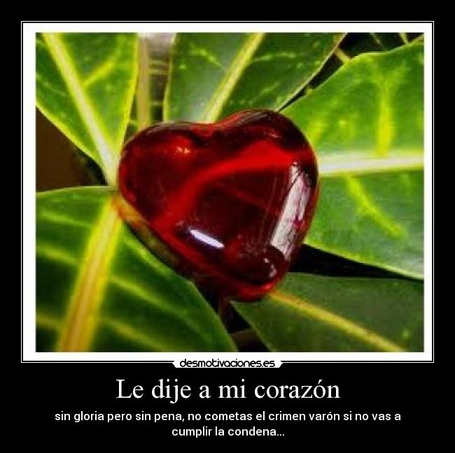 carteles corazon corazon desmotivaciones
