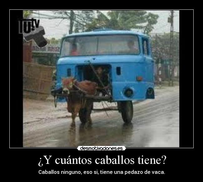¿Y cuántos caballos tiene? - 